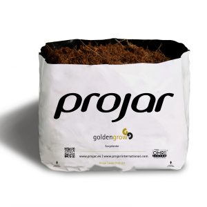 GOLDEN GROW EASYPLANTER FOR RASPBERRY CULTIVATION