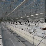 soilless production